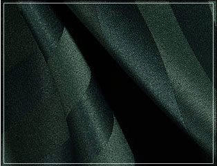 forest-674