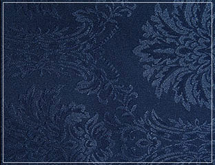 navy-730